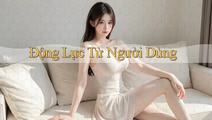 Động Lực Từ Người Dùng