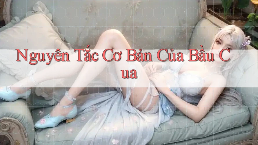 Nguyên Tắc Cơ Bản Của Bầu Cua Nguyên Tắc Cơ Bản Của Bầu Cua