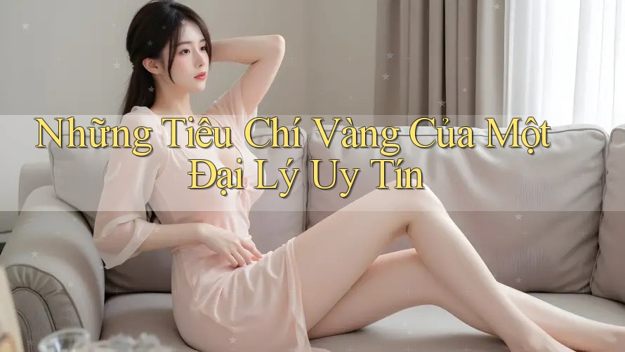 Những Tiêu Chí Vàng Của Một Đại Lý Uy Tín