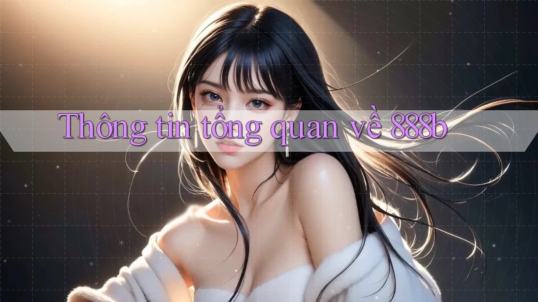 Thông tin tổng quan về 888B Thông tin tổng quan về 888B